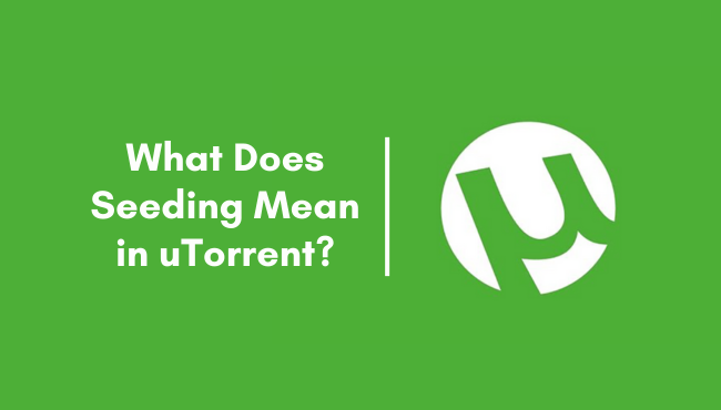 What Does Seeding Mean in uTorrent